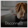 Disconnect - Global Warning