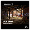 Live In Peace (Original Mix) - Dave Bond