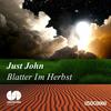 Blatter im Herbst - just John