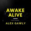 Aparigraha - Awake&Alive&Alex Gawly