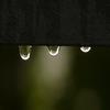 Monsoon - SPA&Nature Sounds&Relaxing Music Therapy