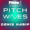 Pitch Waves (Re-Worked Version) - Denis Habip