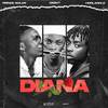 Diana (Explicit) - Qsent&Prince Solar&Horlagold