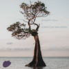 Lost (Tony Gribsun Remix) - Homāyoun Shajariān&Seventh Soul&Tony Gribsun