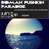 Paradise (Elektroniki Djs Remix) - Roman Pushkin