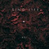 don sinu - DJ Sky