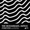 Forever (Andre Gazolla Remix) - The Muhammads&Amyr R