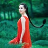蒹葭 - 曲丹