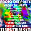 Terrestrial Gym - Paolo Del Prete