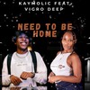 Need To Be Home(feat. Vigro Deep) - Kaymolic&Vigro Deep