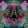 SPxCE STxTION - AVILYS