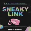 Sneaky Link (Explicit) - UA The Duo&Santos Jaguar