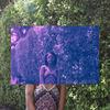 The Cold Shoulder (Explicit) - Ifyyellow&Ziba