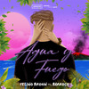 Agua & Fuego - Felino Brown&Barroso