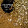 Quest for Invisible Symbols - Nick Tara&Nicholas Alexander Tara