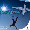 To Fly Down (Dub Mix) - Juan Deminicis