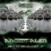 Life Form (Original Mix) - Ancient Alien