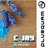 Sleep(Shylock Dub Remix) - C-Jay