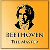 Beethoven: Speaking Unto Nations (Beethoven Symphony no 7 - II ) - Terry Davies