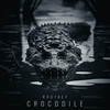 Crocodile - Rootkey