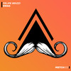 Swag - Felipe Brizzi