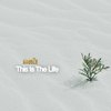 This Is The Life (Short Cut) - sineeZe