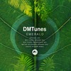 Emerald (Ben Pierre Organic Remix) - DMTunes&Ben Pierre