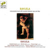 Division on a Ground in E Minor for Viola Da Gamba, Organ & Theorbo - Thomas C. Boysen&thomas engel&Claudia Gerauer&Johannes Hämmerle&Martina Joos&Daniel Oman&Claire Pottinger-Schmidt&Christopher Simpson
