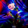 On me Luv... (Explicit) - Steve