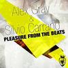 Pleasure from the Beats - Alex Gray