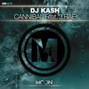 Cannibal Feat. J.Rae (Original Mix) - DJ Kash&J.rae