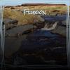 Fluxion - Lanel Shie