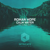 Calm Water (Altreal Remix) - Roman Hope&Altreal