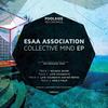 Noa's Palm (Original Mix) - Esaa Association