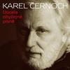 Pár slov, pár kroků, pár gest (Too Much, Too Little, Too Late, feta. Marie Rottrová) - Karel Cernoch