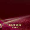 Cum Se Misca - Deejay Killer