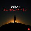 Amor (Radio Edit) - Kriga