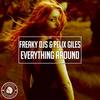 Everything Around (Radio Edit) - Freaky DJs