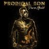 You Give Me That Reason to Live(feat. Chevelle Franklyn) - Prodigal Son&Chevelle Franklyn