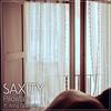 Pillowtalk (feat. Anna Grillmeier) (Explicit) - Saxity&Anna Grillmeier