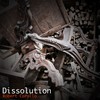 Dissolution - Robert Carollo