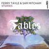 Stories (Original Mix) - Ferry Tayle&Sam Mitcham