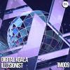 Illusionist - Digital Koala