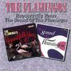 You're Mine - The Flamingos