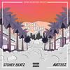 SHADY(feat. Tunezayy) (Explicit) - Stoney Beatz&Tunezayy