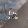 Live Saule - Virk Mala