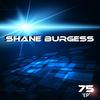 Die Wondering(feat. Celeste) - Shane Burgess&Celeste