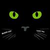 Lovin' You - BLACK CAT