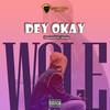 Dey Okay (Explicit) - Wole