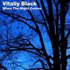 When The Night Comes (Original Mix) - Vitaliy Black